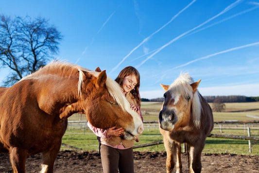 Assisting Animals Sessions for Livestock and Horses